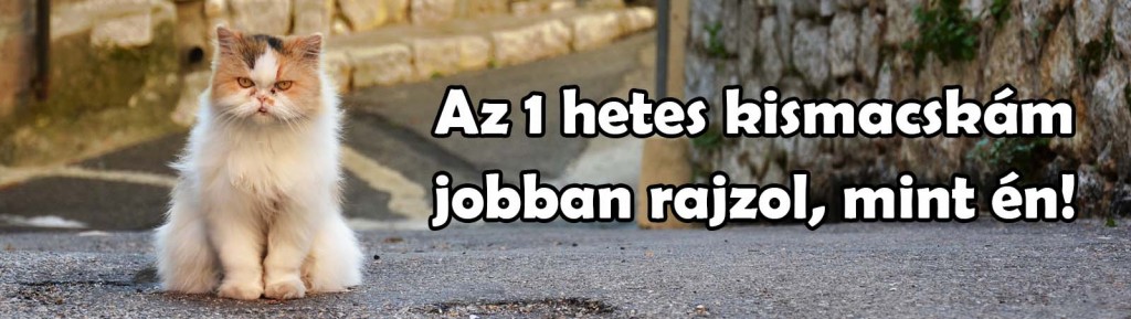 macska