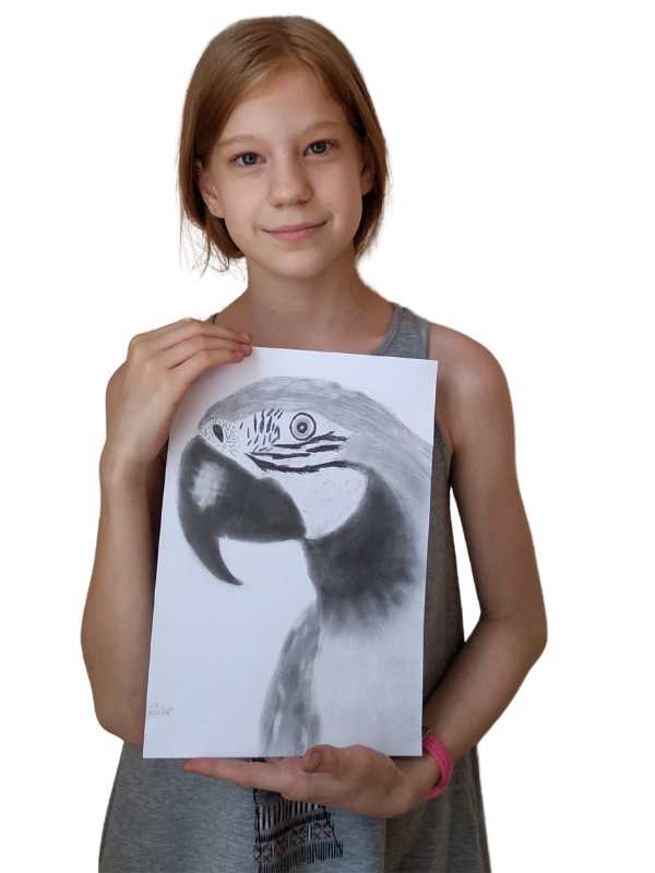 jobb agyféltekés rajz (7)