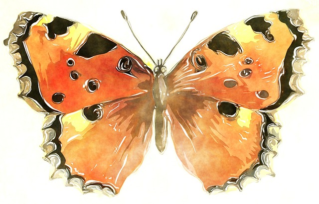 akvarell ceruza pillango