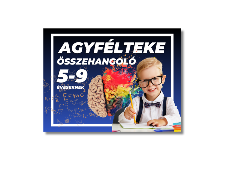 Agyfélteke összehangolók (4)
