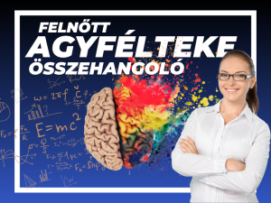 Agyfélteke Összehangoló