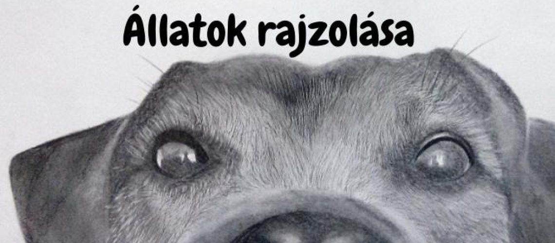 Állatok rajzolása (1)