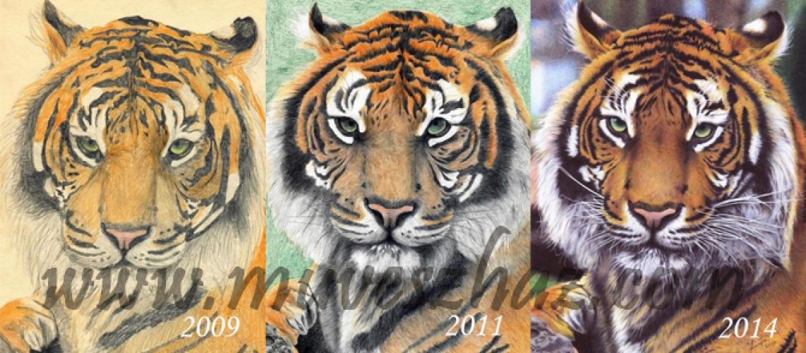 végh zita tollrajz tigris
