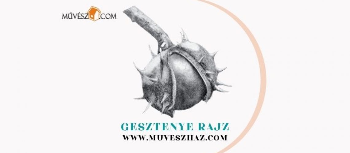 gesztenye_rajz_16